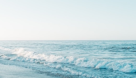 華やかさが際立つシノワズリスタイルをつくるコツ